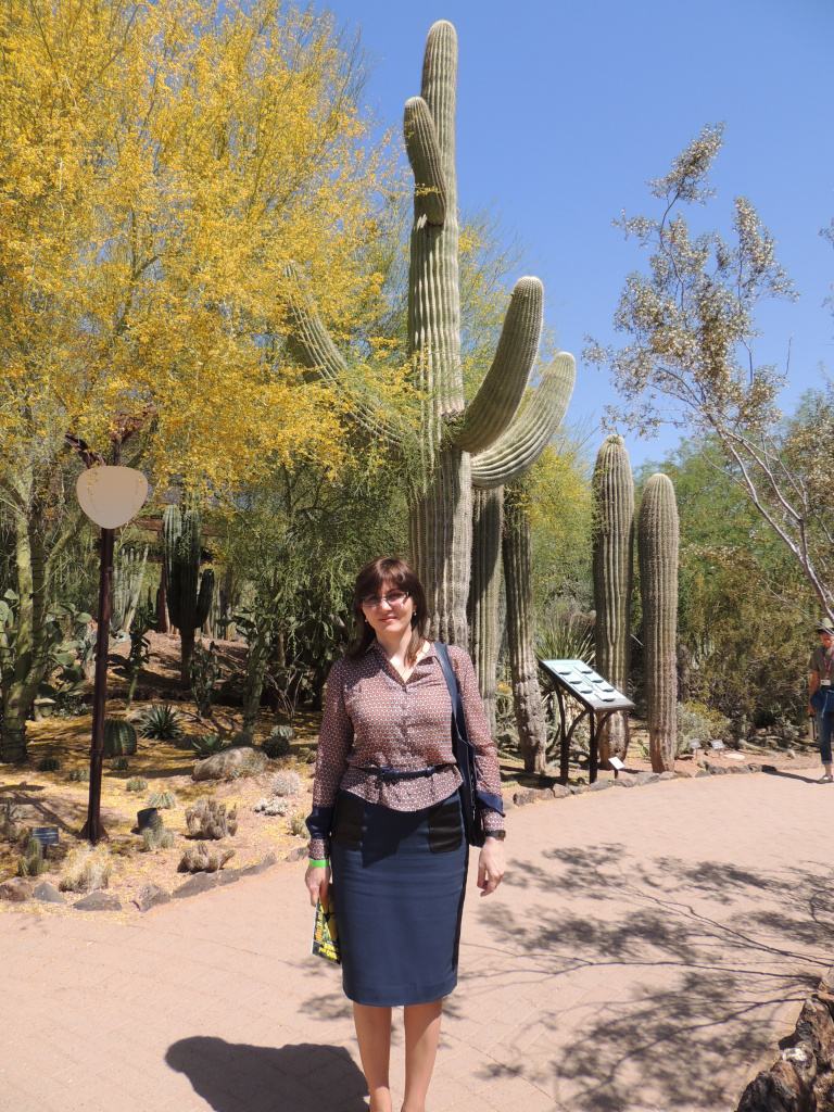 Феникс, ботанический сад пустыни 6.JPG