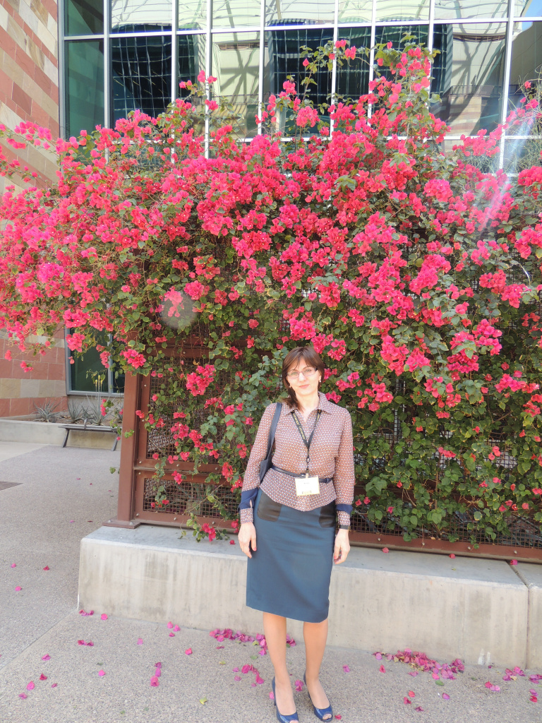 г. Феникс 5.JPG