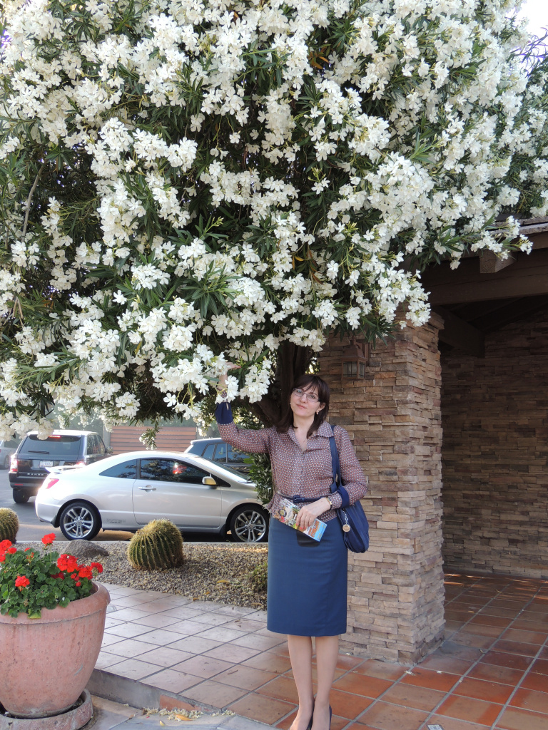 Скотсдейл, Аризона.JPG