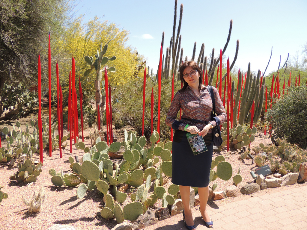 Феникс, ботанический сад пустыни 5.JPG